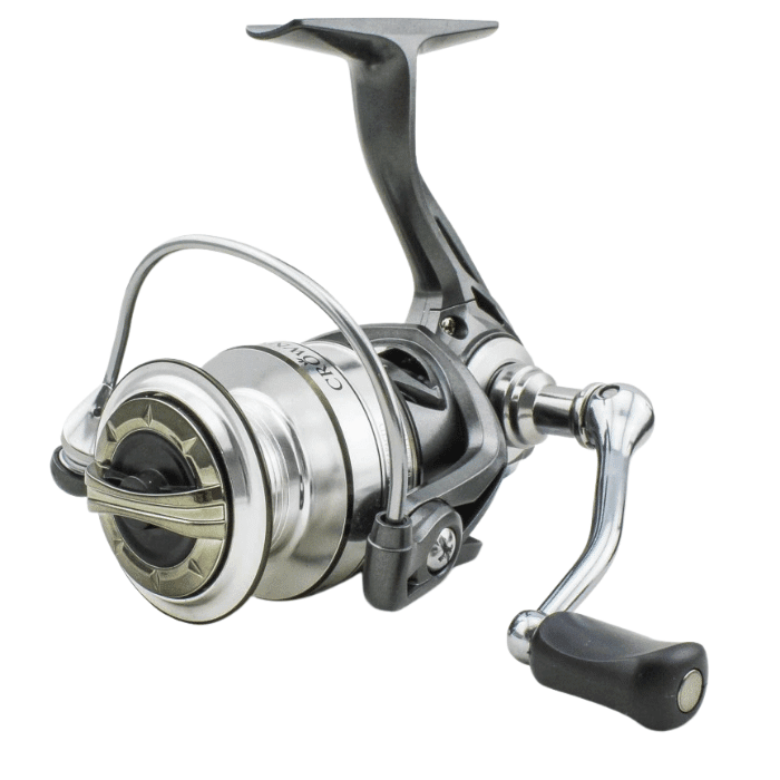 Sänger Crowny 2000 5 Sänger Crowny 2000 – Bild 3