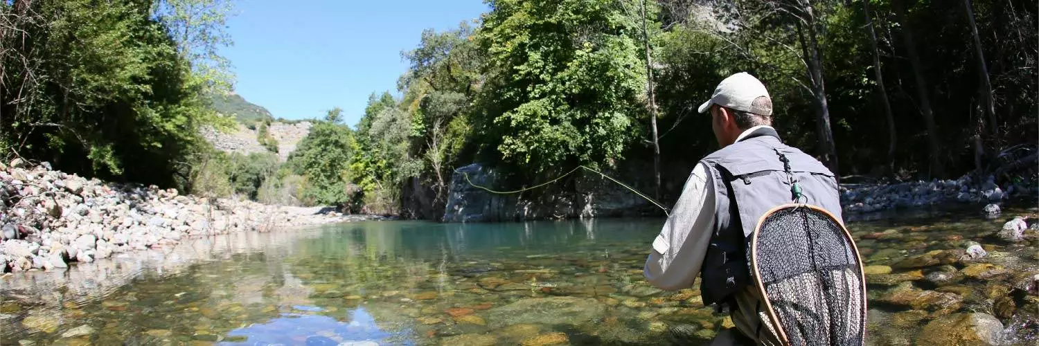 Rod Pod & Tripod Verkaufsgeschäft 11 Rod Pod & Tripod Verkaufsgeschäft -Rod Pod & Tripod Verkaufsgeschäft 6